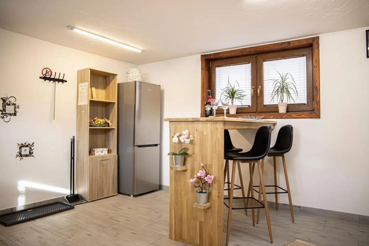Olczanski Gosciniec Apartament Nr 1 Zakopane 0*,  Poland